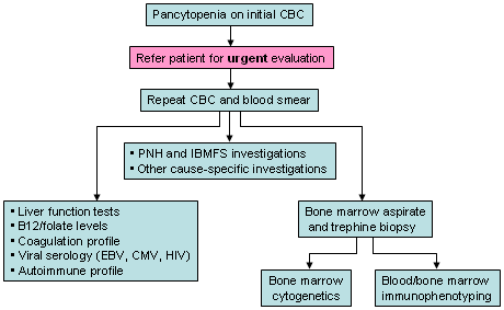 com.bmj.content.model.assessment.Caption@1333db3a