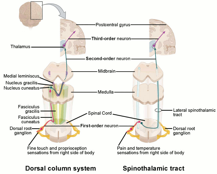 com.bmj.content.model.assessment.Caption@704b75a5