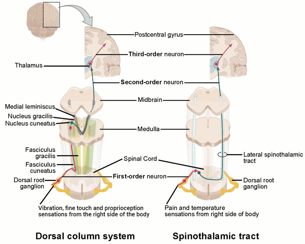 com.bmj.content.model.assessment.Caption@3c31df21
