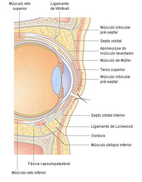 com.bmj.content.model.assessment.Caption@1fc0f62e