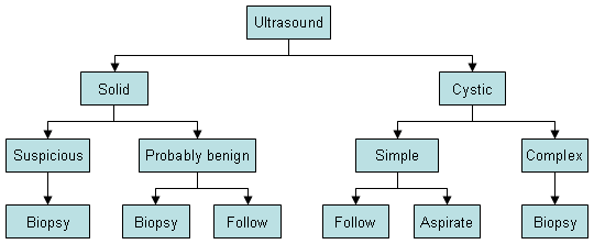 com.bmj.content.model.assessment.Caption@6d1e9224