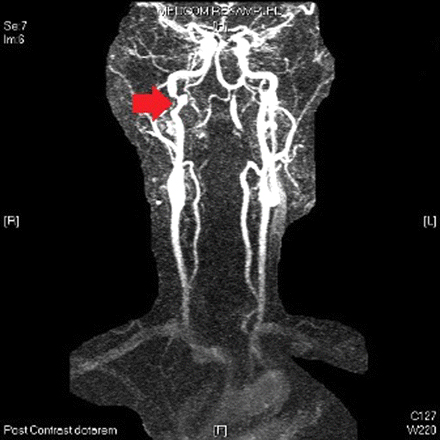 com.bmj.content.model.Caption@30f7ff46