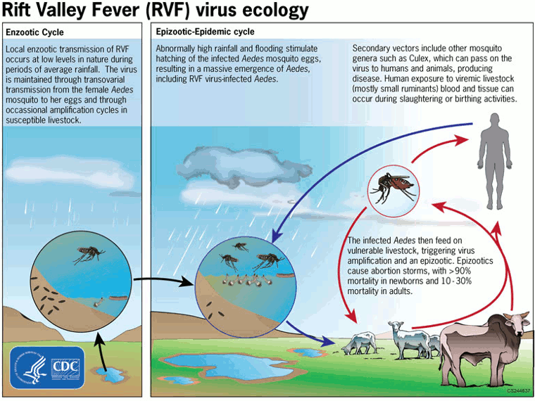 com.bmj.content.model.Caption@677662ff
