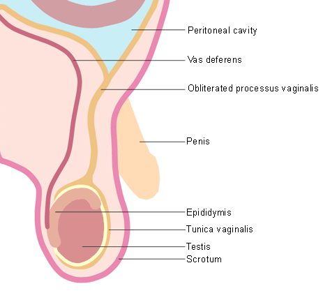 com.bmj.content.model.Caption@cfc9acb