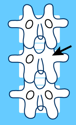 com.bmj.content.model.assessment.Caption@7437d609