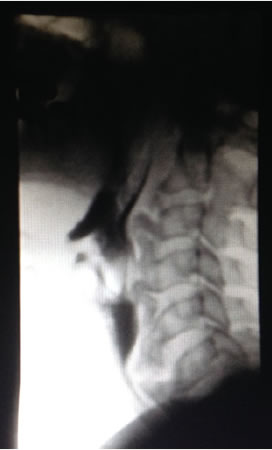 com.bmj.content.model.assessment.Caption@39cea8b0