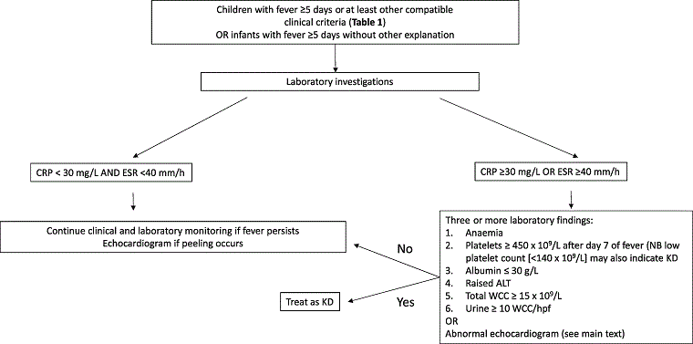 com.bmj.content.model.Caption@37158a82