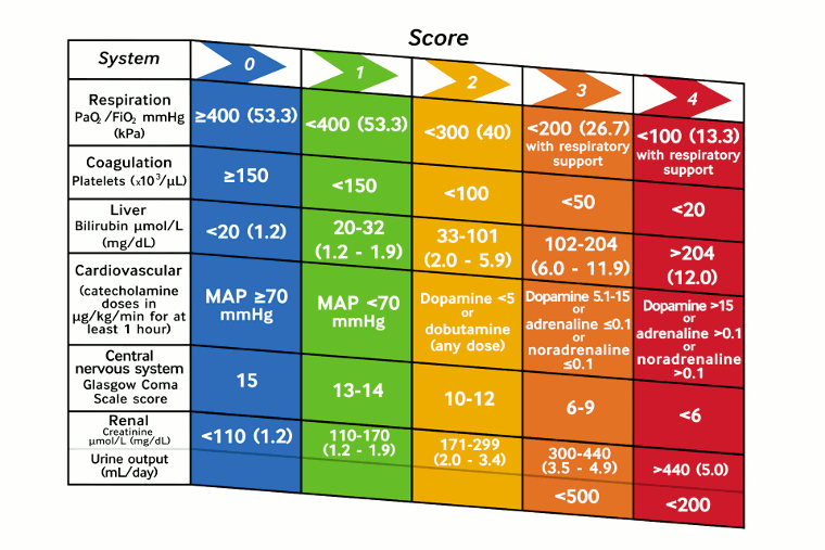 Sequential (or Sepsis-related) Organ Failure Assessment (SOFA) criteria