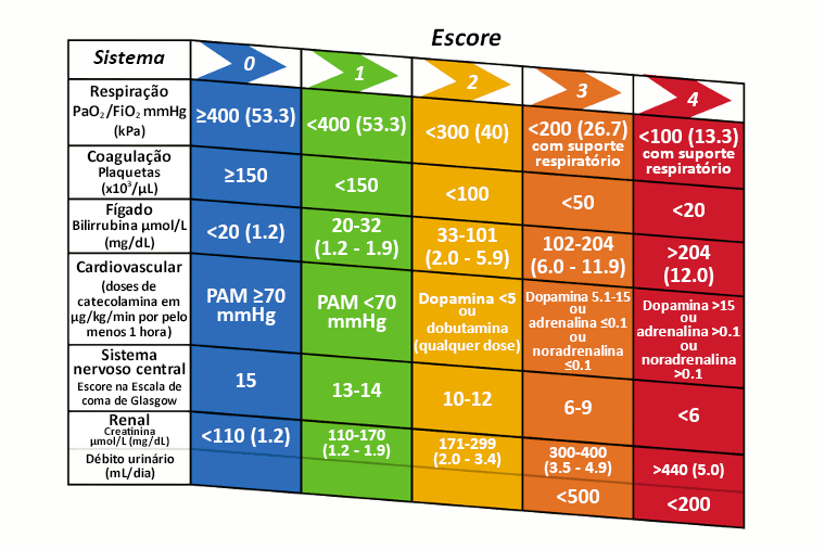 Critérios de determinação da falência orgânica relacionada à sepse (SOFA) sequencial