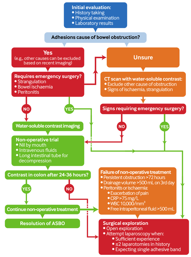 Diagnosis and treatment pathway for adhesive small bowel obstruction (ASBO). Adhesions are the most common cause of small bowel obstruction. Differentiate between ASBO and other causes of bowel obstruction.