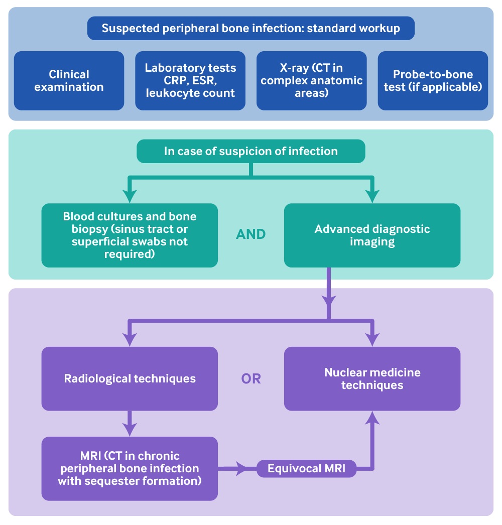 Diagnostic flow chart of peripheral bone infection