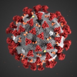 Enfermedad de coronavirus 2019 (COVID-19) images