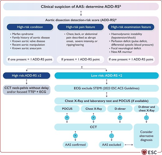 Multiparametric diagnostic work-up of acute aortic syndrome