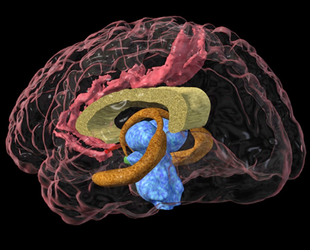 Post-traumatic stress disorder images