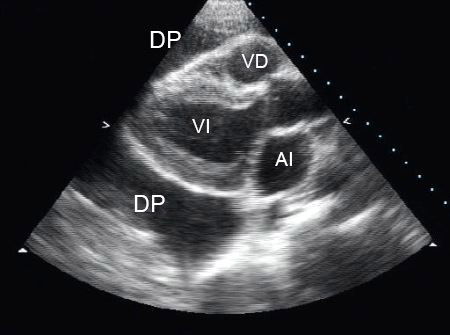 com.bmj.content.model.assessment.Caption@157e54a1