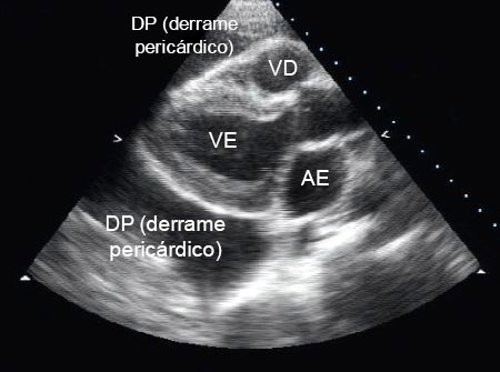 com.bmj.content.model.assessment.Caption@4e0b2302