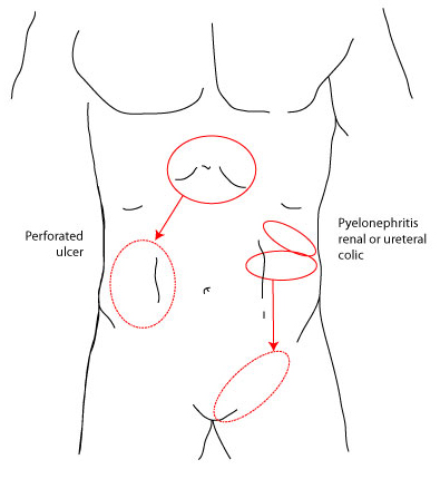 com.bmj.content.model.assessment.Caption@544f4120