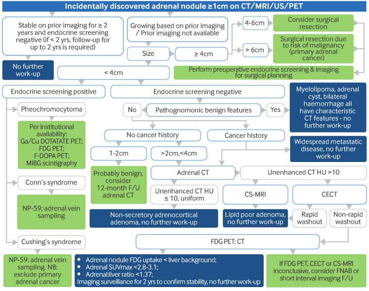 com.bmj.content.model.assessment.Caption@1a690d7b