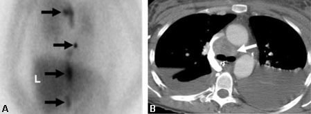 com.bmj.content.model.assessment.Caption@48e08293