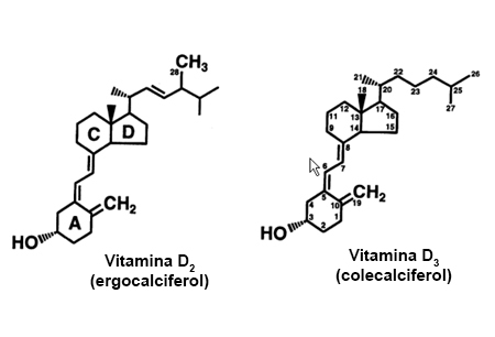Deficiência de vitamina D images