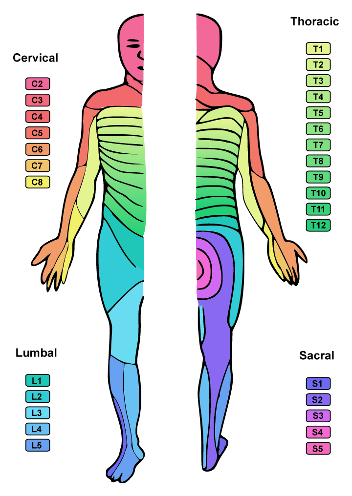 com.bmj.content.model.assessment.Caption@3d904134