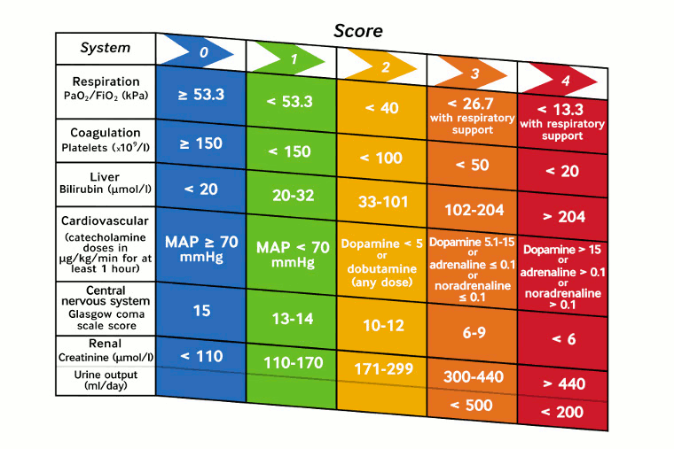 com.bmj.content.model.assessment.Caption@473d5ff6
