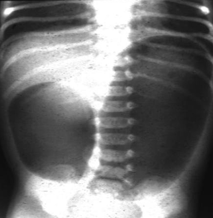 com.bmj.content.model.assessment.Caption@293fe2c0