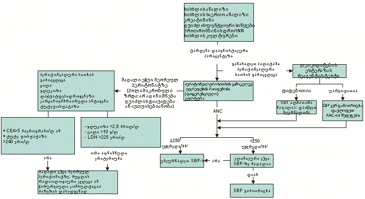 com.bmj.content.model.Caption@66c9f57e