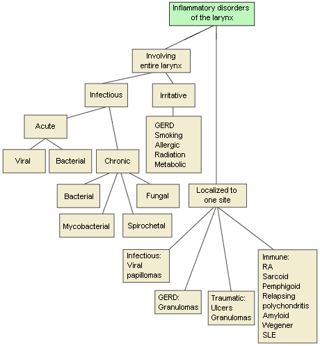 com.bmj.content.model.assessment.Caption@2e1a1b6b