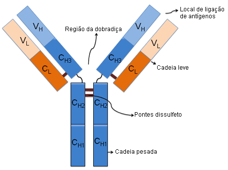 com.bmj.content.model.assessment.Caption@76ea3713