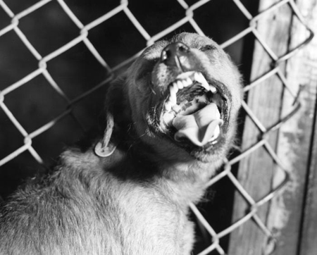 com.bmj.content.model.Caption@72a29a8d