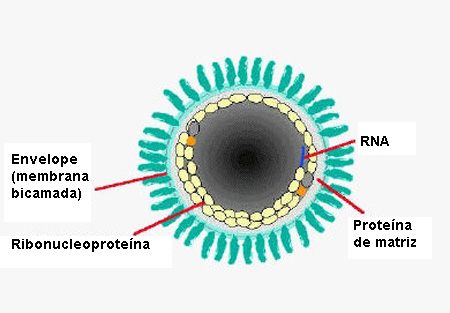 com.bmj.content.model.Caption@1ce0dfa8