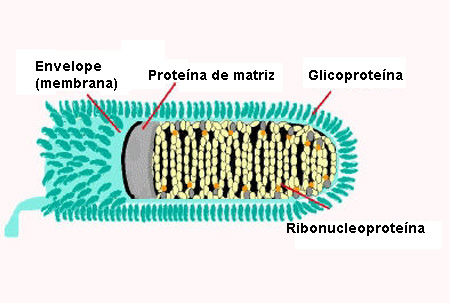com.bmj.content.model.Caption@1946eef9