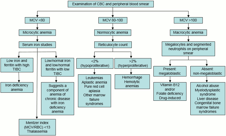 com.bmj.content.model.assessment.Caption@266776a8