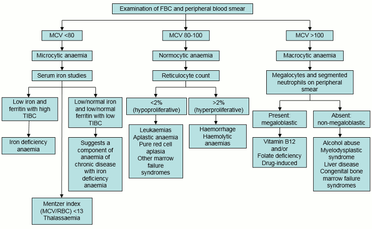 com.bmj.content.model.assessment.Caption@4b2193aa
