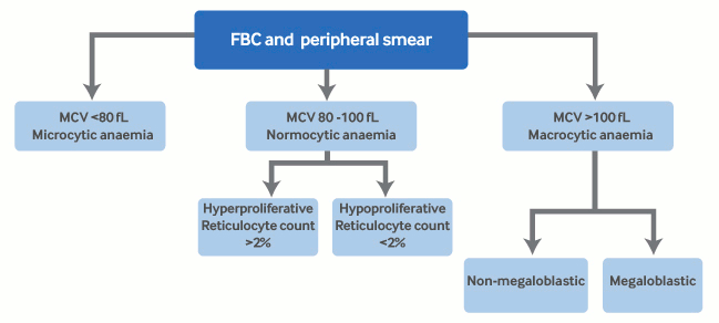 com.bmj.content.model.assessment.Caption@40818382