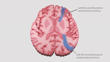 com.bmj.content.model.assessment.Caption@326b9363