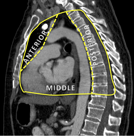 com.bmj.content.model.assessment.Caption@2a58b79c