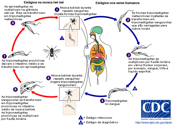 com.bmj.content.model.Caption@642b5110